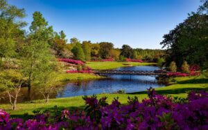 bellingrath-gardens-alabama-landscape-scenic-158063-158063 A beautiful spring garden landscape featuring vibrant pink flowers, a serene river, and a picturesque bridge.